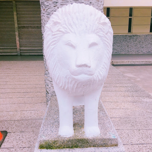 白獅