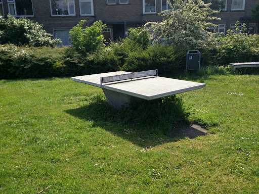 Outdoor Table Tennis