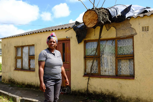 SAFETY GONE: Nowase Magwashu, 48, from NU9 in Mdantsane has been living with a tree trunk on the roof of her home for a week following a fierce wind that pushed the tree over last Friday. The tree damaged the roof, walls and ceiling of the house and they don’t know how to move it Picture: ALAN EASON