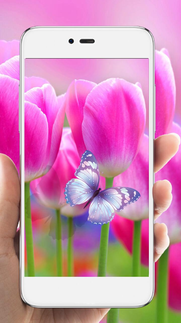 Android application Purple Tulip HD Live Wallpaper screenshort