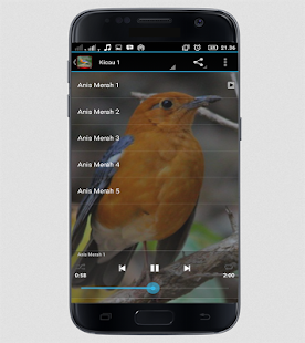 How to mod TERAPI ANIS MERAH MASTER patch 1.0 apk for laptop