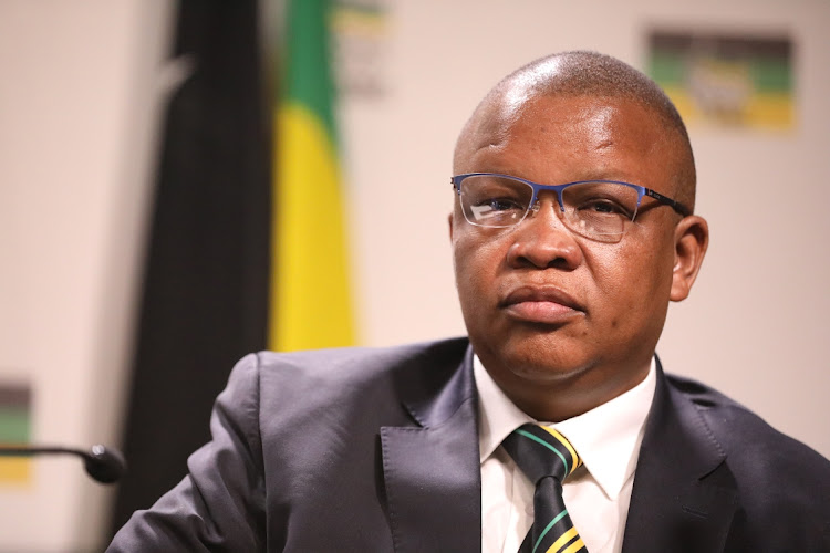 ANC national executive committee (NEC) member Dakota Legoete, above, flew the flag for Ace Magashule at the Bloemfontein high court on Tuesday.