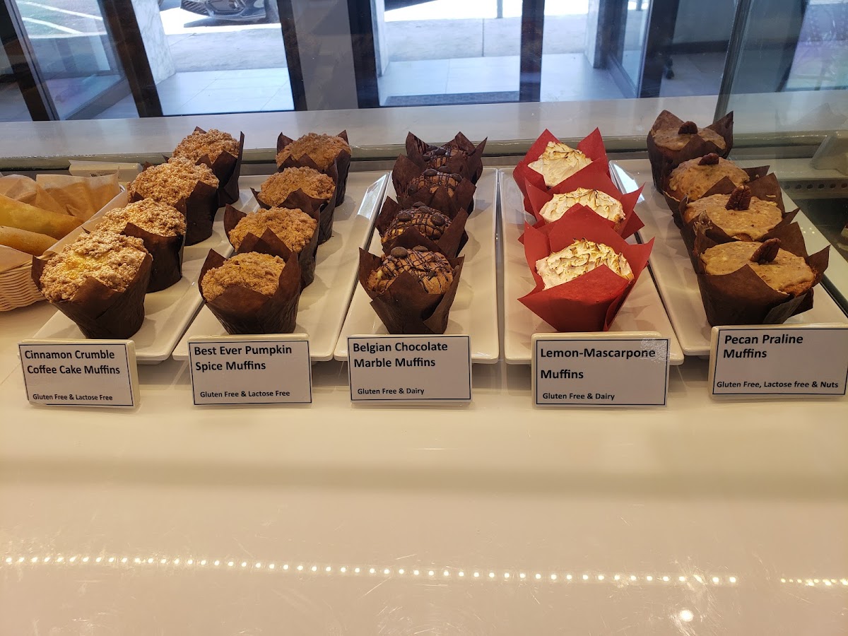 Yummy muffins, 5 flavors to choose from