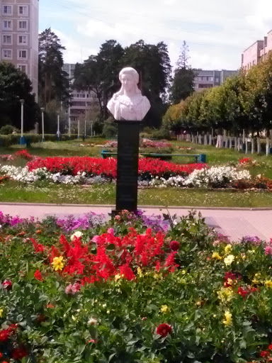 Памятник Е.р. Дашковой В Центре Города 
