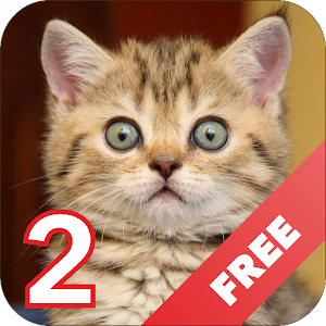 Download Cats sounds 2 For PC Windows and Mac