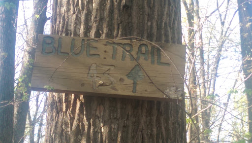 Blue Trail Marker