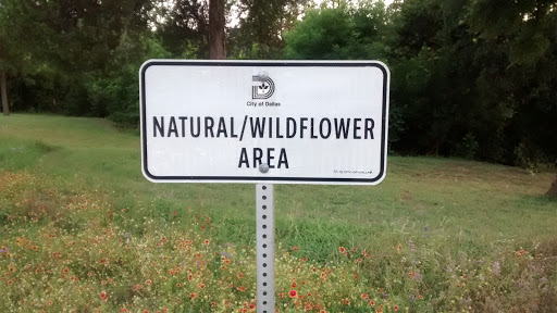 Natural / Wildflower Area at Elmwood Parkway