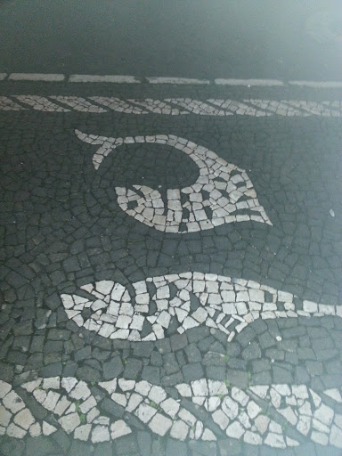 Fish Art