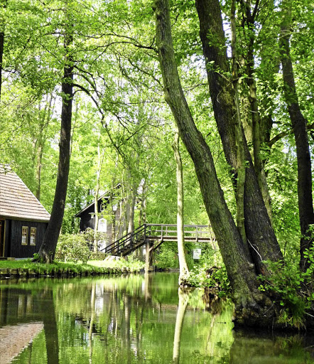The waters of the Spreewald.