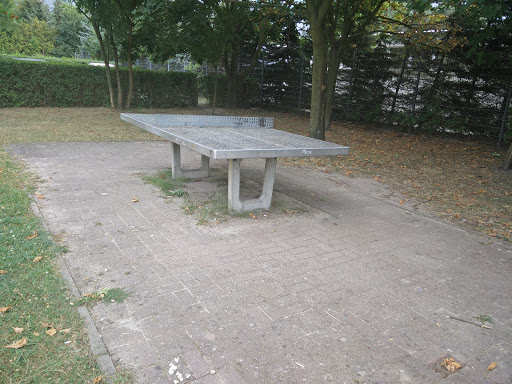 Tennis Table 