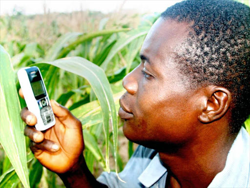 indispensable: Mobile phones are now key in communication and mobile money business in Kenya.