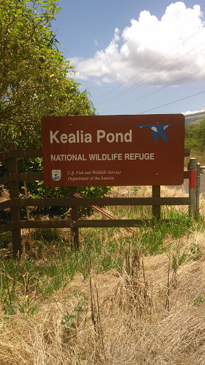 Kealia Pond