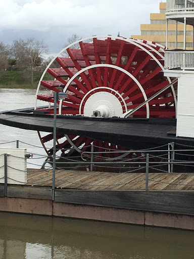 Paddle Wheel