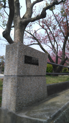 白山西台公園