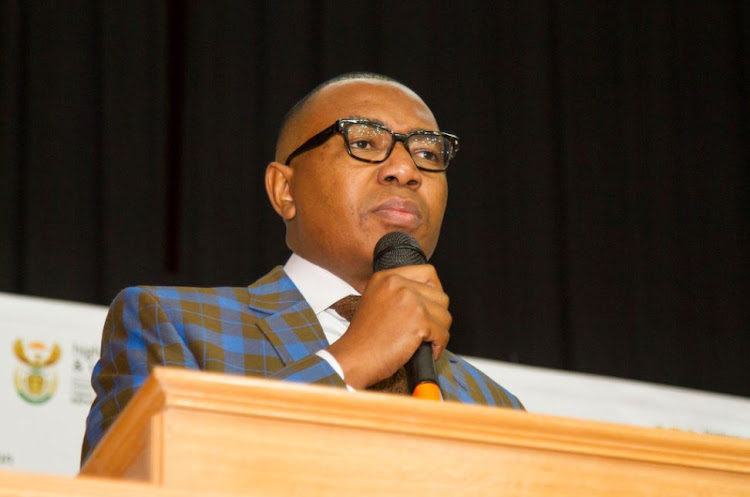 Former deputy education minister Mduduzi Manana. File photo.