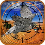 Birds Hunter in Desert Apk