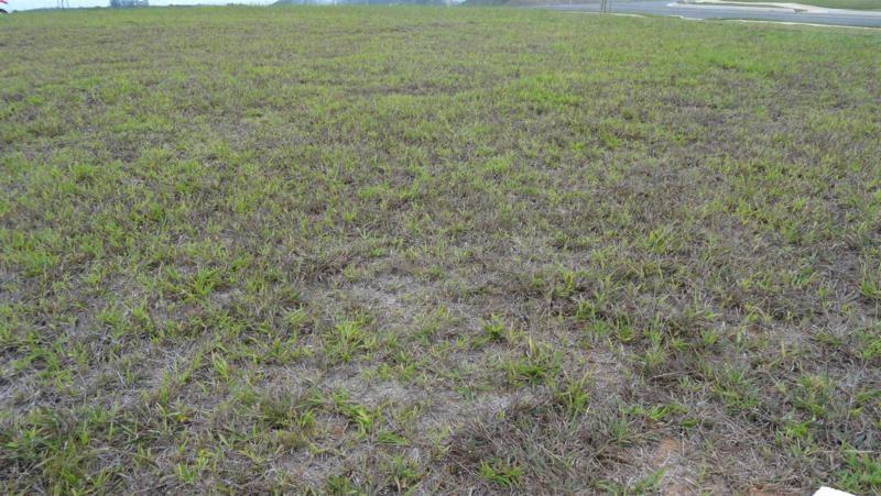 Terreno Residencial à venda em Alphaville, Juiz de Fora - MG - Foto 21