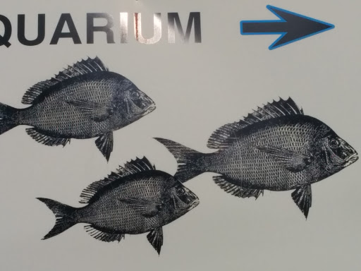 Aquarium Art