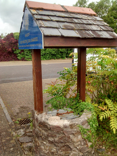 Rotary Wishing Well.