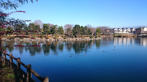 三ツ寺公園の池
