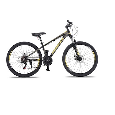 Xe Đạp Thể Thao Fornix  Vòng Bánh 26inch