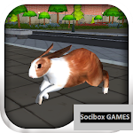 Bunny Simulator Apk