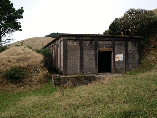 Belmont Ammo Bunker 5