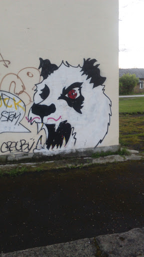 Angry Bear Grafiti 