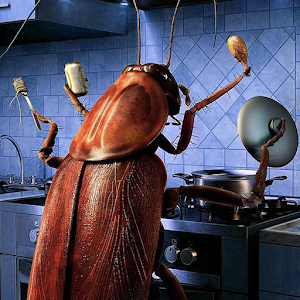 Download Cockroaches in the kitchen For PC Windows and Mac