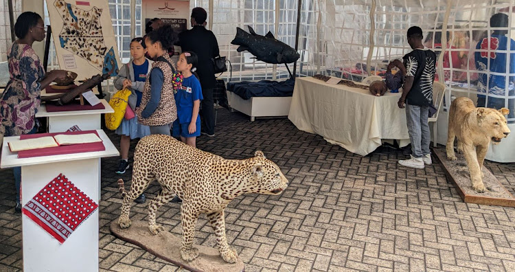 Children visit an exhibition stand at the National Museums of Kenya during the Japan Day event held on November 18, 2023. The museum had on display some of it zoology pieces as well as rarer items.