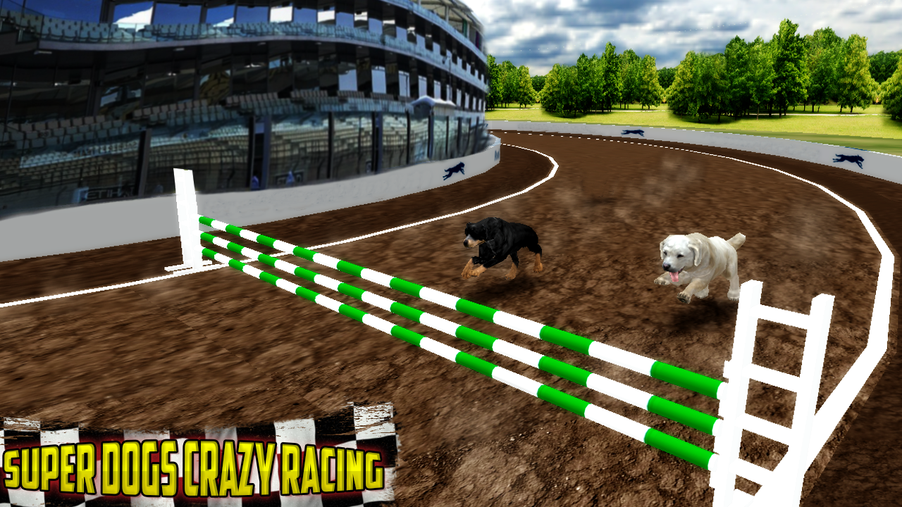 Android application Greyhound Derby Dog Racing screenshort