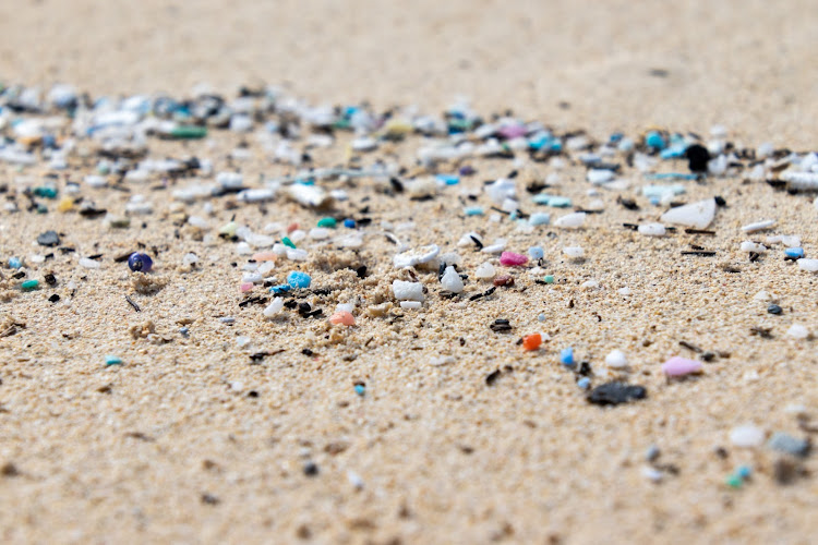 Microplastics are particularly hazardous to the oceans, not only contaminating water but also damaging the internal organs of marine animals, which mistake the plastic for food.