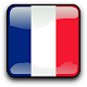 Download French Grammar Pro 5 For PC Windows and Mac 1.4.4