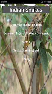 How to mod Indian Snakes lastet apk for pc