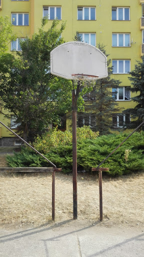 Basketball Playground