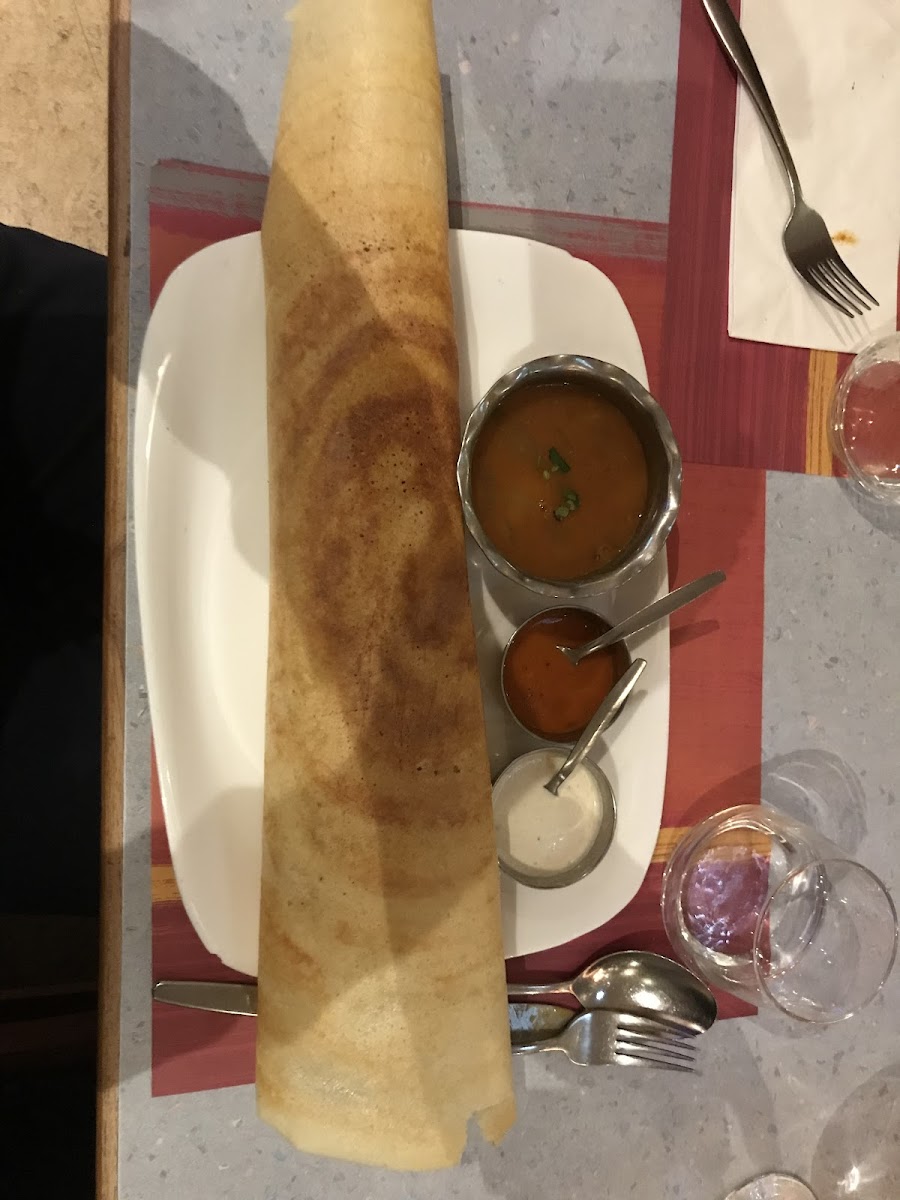 The dosa is gigantic!