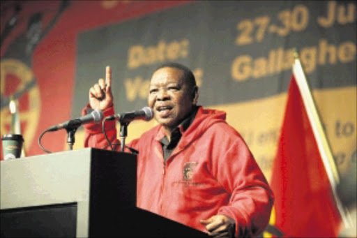 Communist party boss Blade Nzimande urged delegates at Cosatu's 5th Central Committee meeting not to abandon ANC secretary-general Gwede Mantashe. He also warned about the wholesale nationalisation being punted by the ANC Youth League Picture: ALON SKUY