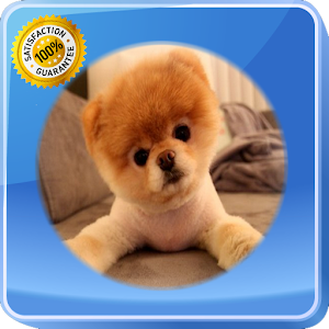 Download Dog Photo Frames For PC Windows and Mac