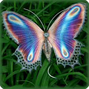 Download Butterfly Jigsaw Puzzles For PC Windows and Mac