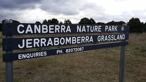 Canberra Nature Park Jerrabomberra  Grasslands