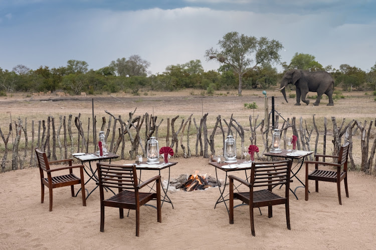 With a busy waterhole nearby, guests can enjoy a parade of passing wildlife.