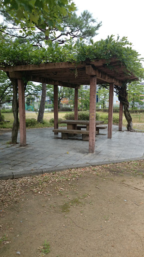 昭和町公園 藤棚 Showamachi Park Pergola