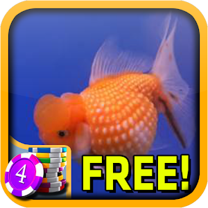 Download Goldfish Slots For PC Windows and Mac
