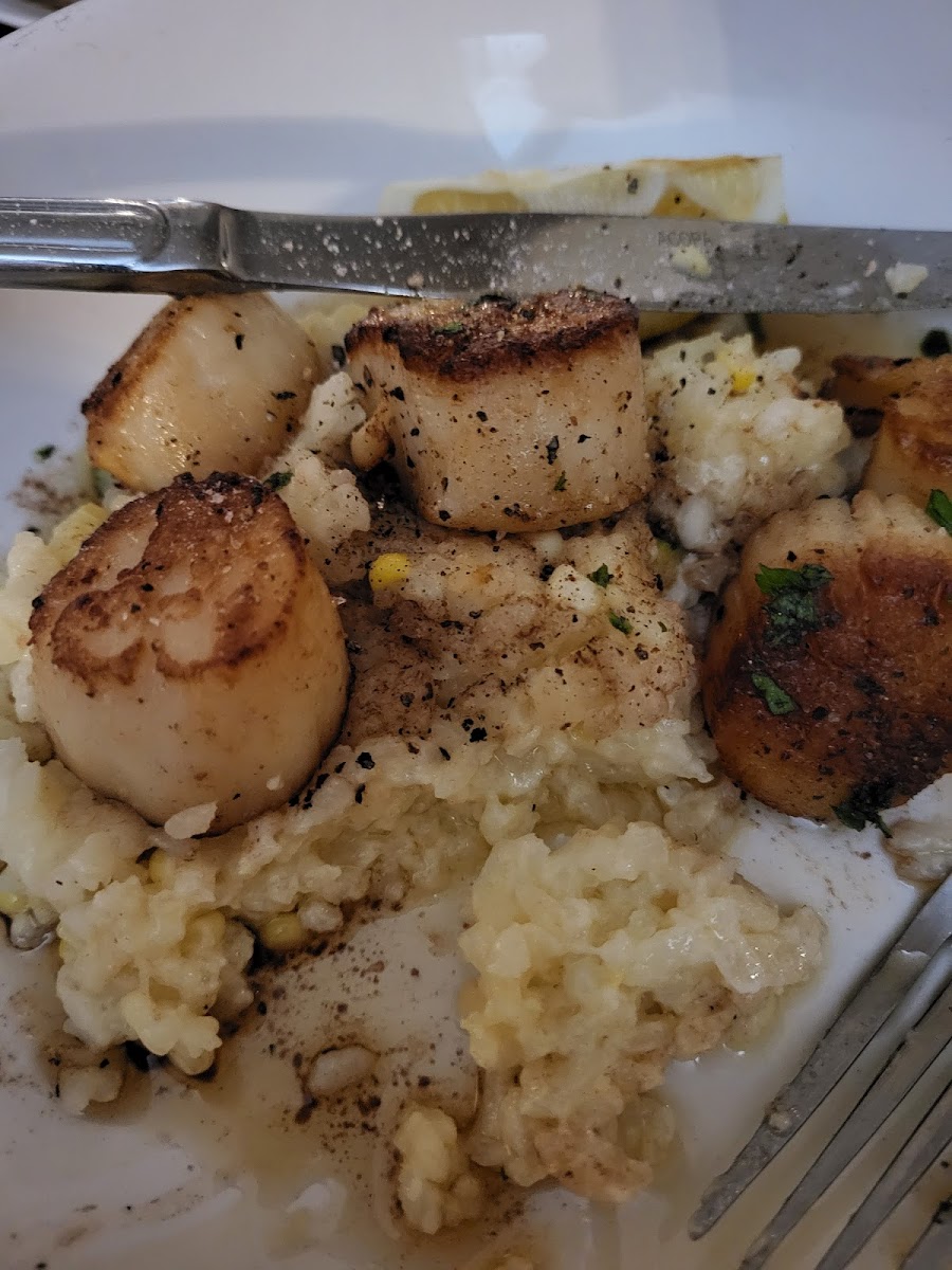 Pan seared scallops with zucchini and risotto