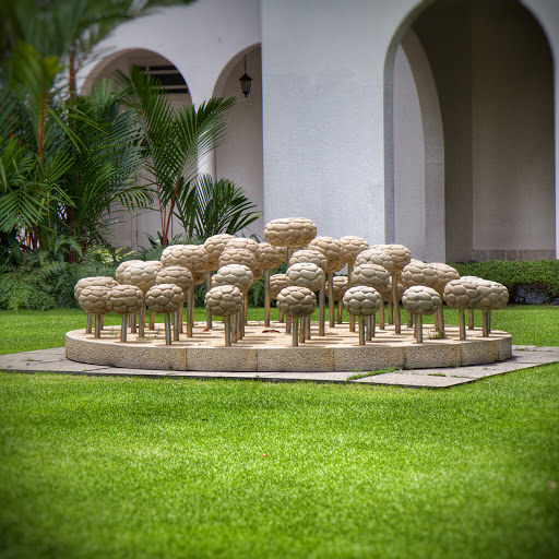 Mushroom Fountain 