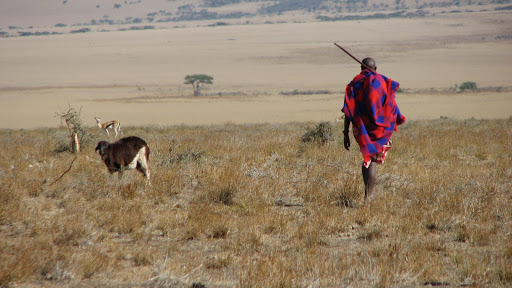 Maasai man. File photo