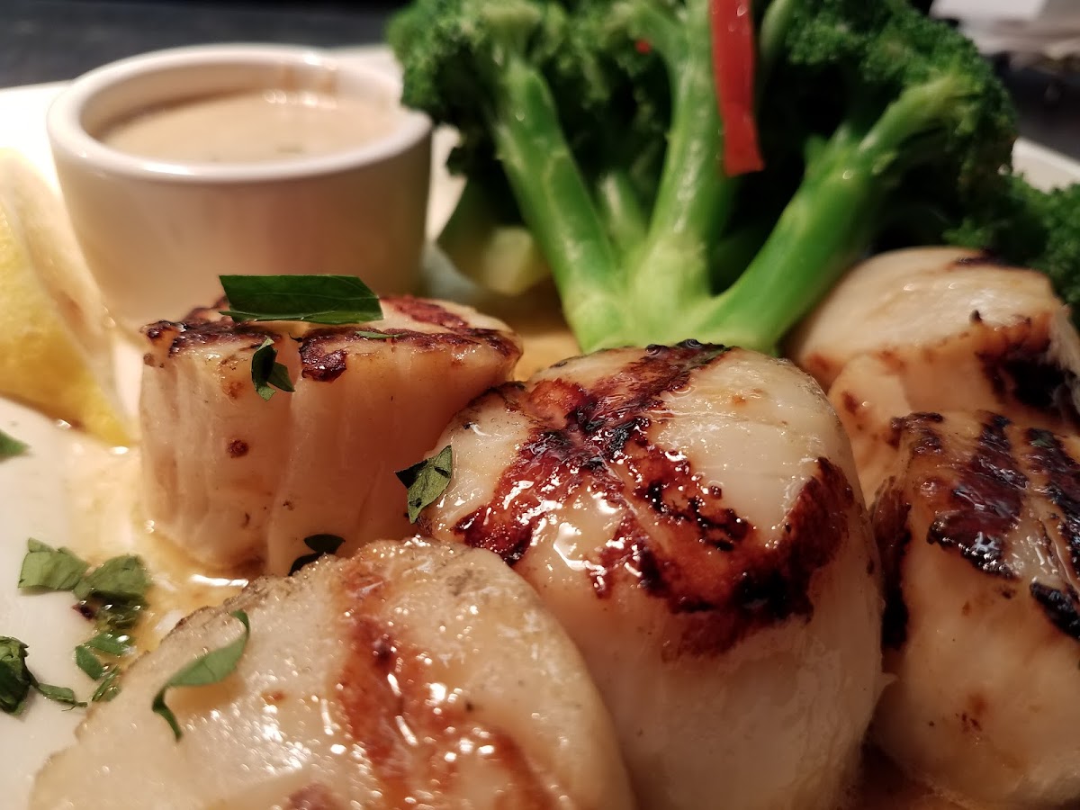 Grilled Scallops with Broccoli
