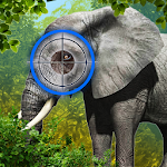 Elephant Hunter 3D Apk