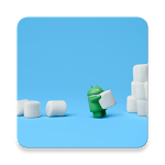 Store Version for Play Store Apk