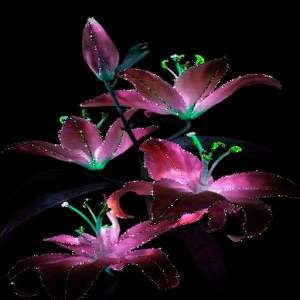 Purple Flowers Live Wallpaper.apk 2